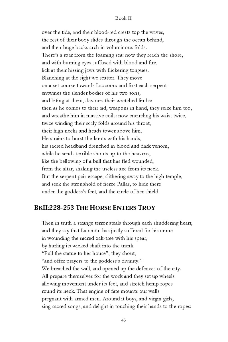 Virgil: The Aeneid - Page 45