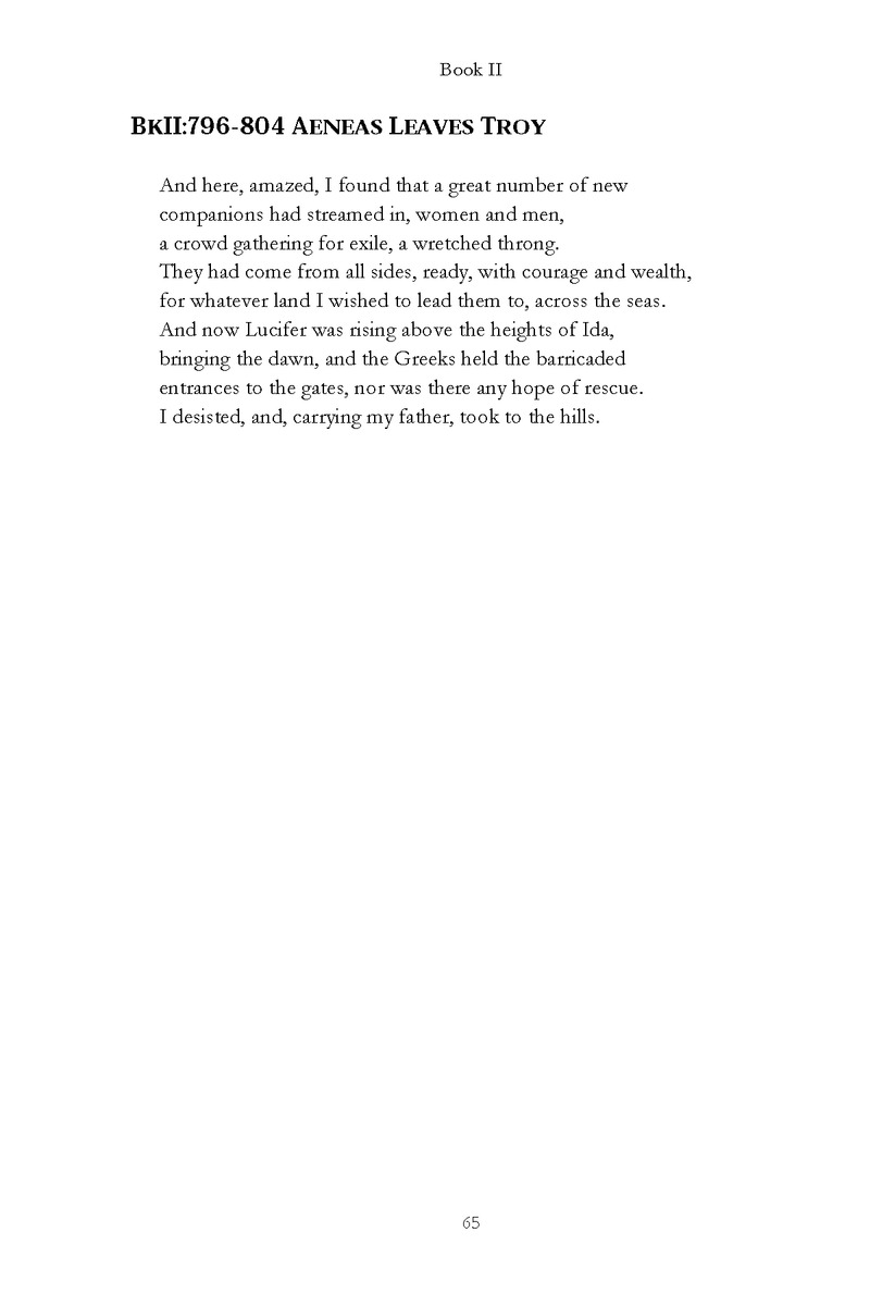 Virgil: The Aeneid - Page 65