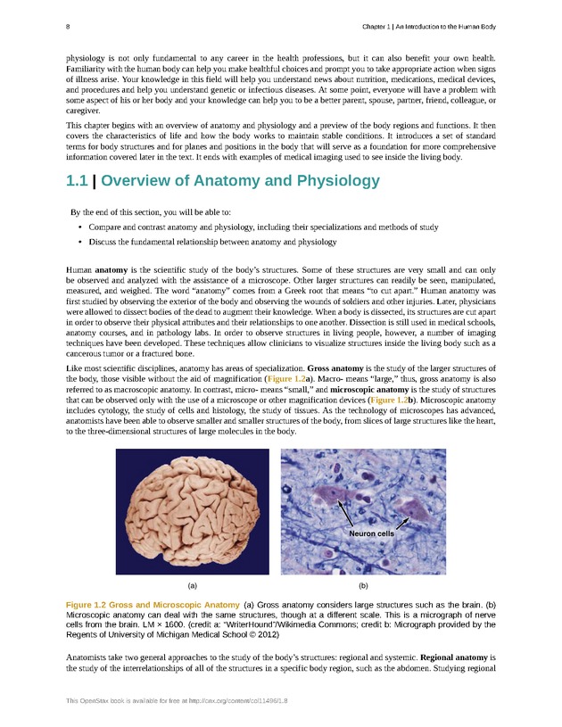 Anatomy & Physiology - Front Matter 17