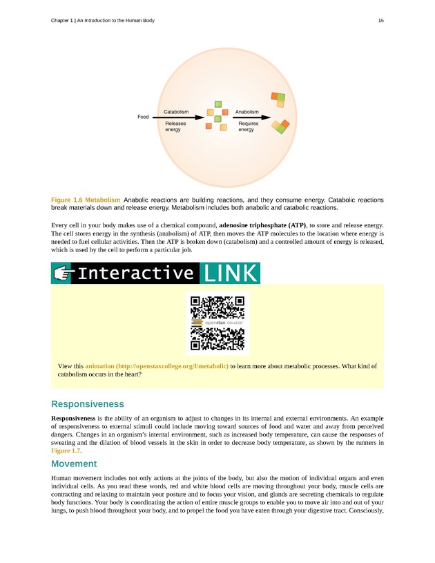 Anatomy & Physiology - Front Matter 24