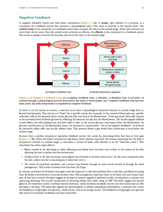 Anatomy & Physiology - Front Matter 30