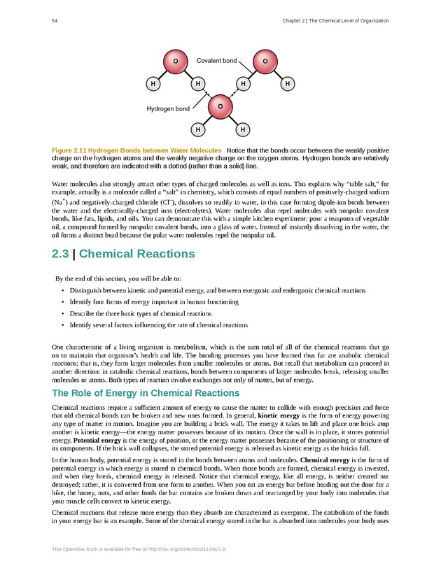 Anatomy & Physiology - Front Matter 63