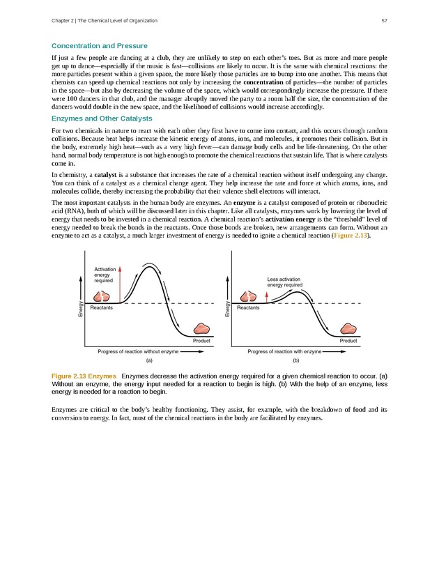 Anatomy & Physiology - Front Matter 66