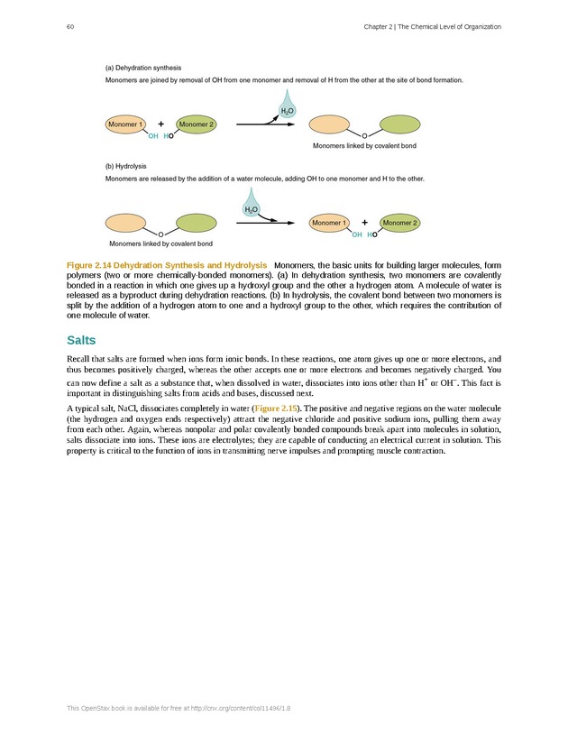 Anatomy & Physiology - Front Matter 69