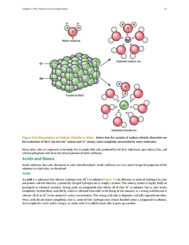 Anatomy & Physiology - Front Matter 70