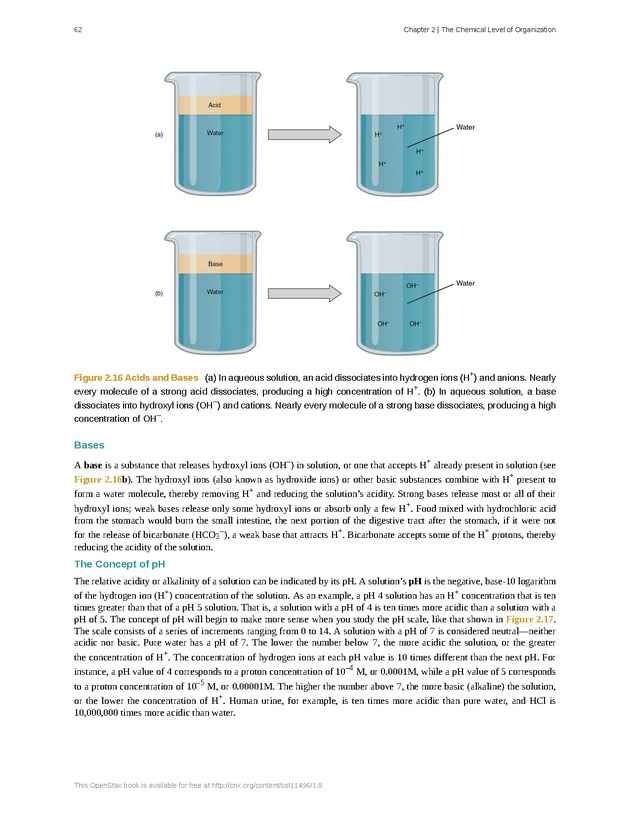 Anatomy & Physiology - Front Matter 71