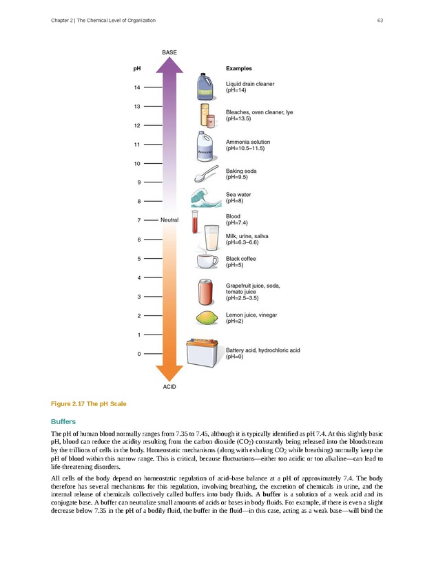Anatomy & Physiology - Front Matter 72