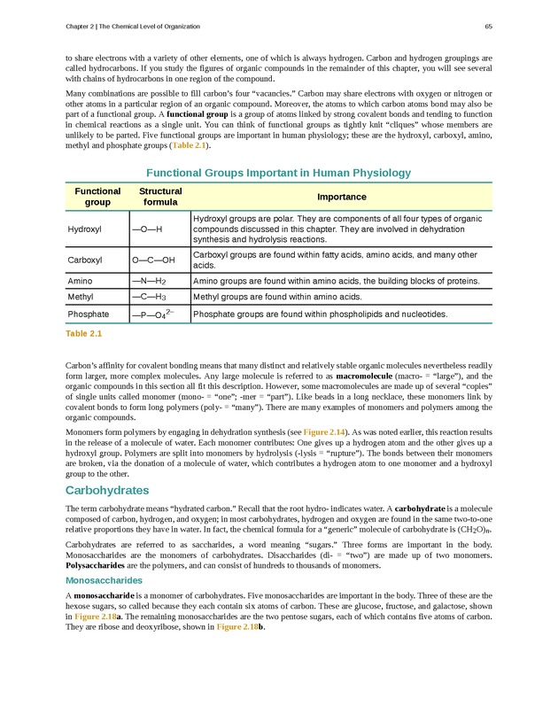 Anatomy & Physiology - Front Matter 74