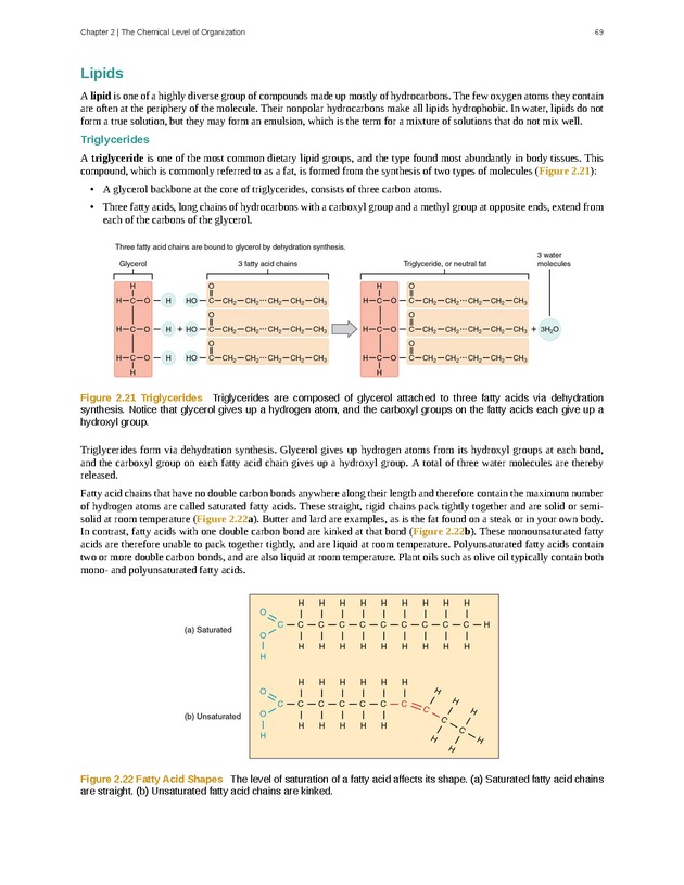Anatomy & Physiology - Front Matter 78