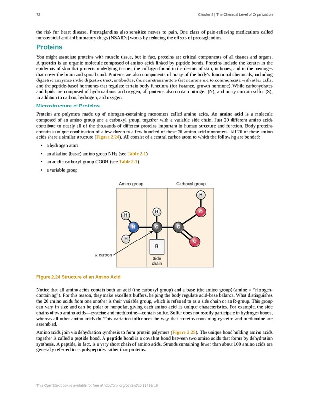 Anatomy & Physiology - Front Matter 81