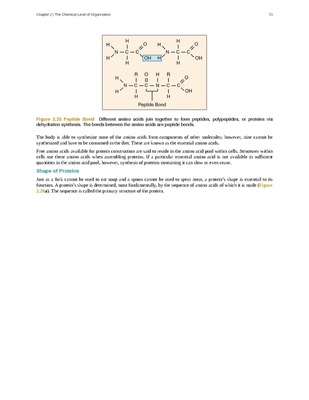 Anatomy & Physiology - Front Matter 82