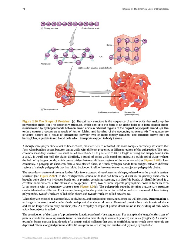Anatomy & Physiology - Front Matter 83