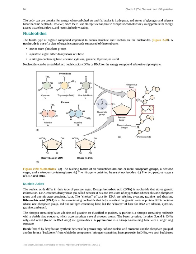 Anatomy & Physiology - Front Matter 85