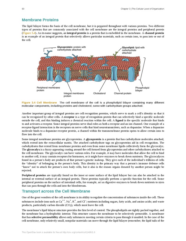 Anatomy & Physiology - Front Matter 99
