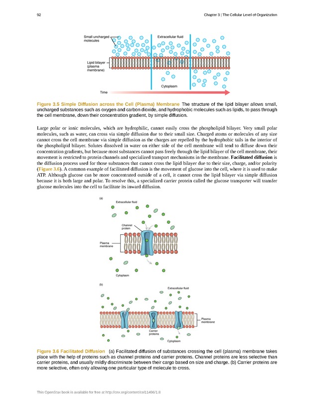 Anatomy & Physiology - Front Matter 101