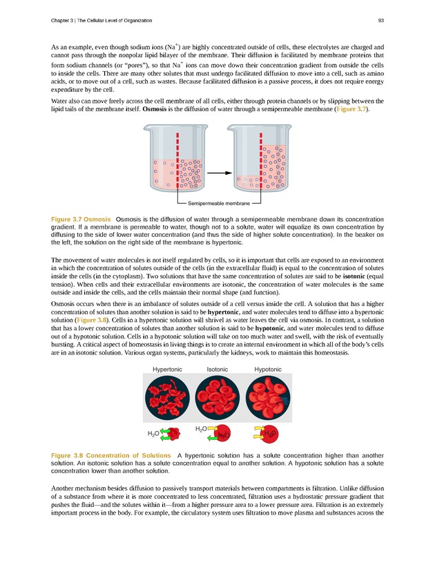 Anatomy & Physiology - Front Matter 102