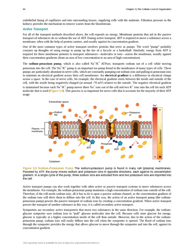 Anatomy & Physiology - Front Matter 103