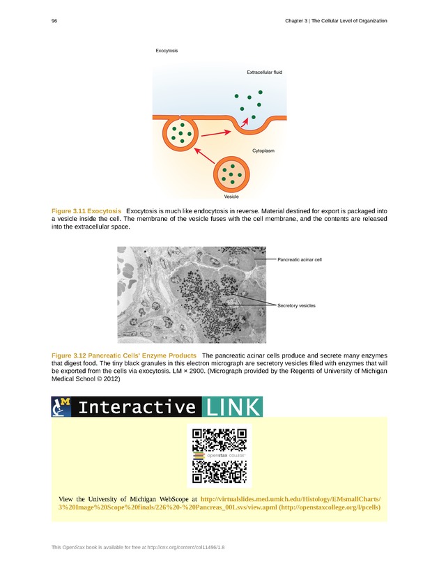 Anatomy & Physiology - Front Matter 105