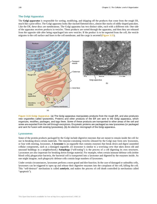 Anatomy & Physiology - Front Matter 109