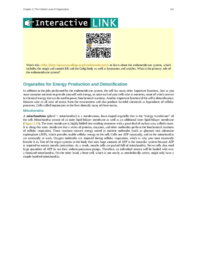 Anatomy & Physiology - Front Matter 110