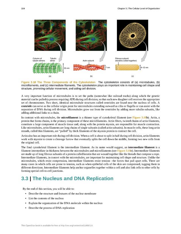 Anatomy & Physiology - Front Matter 113