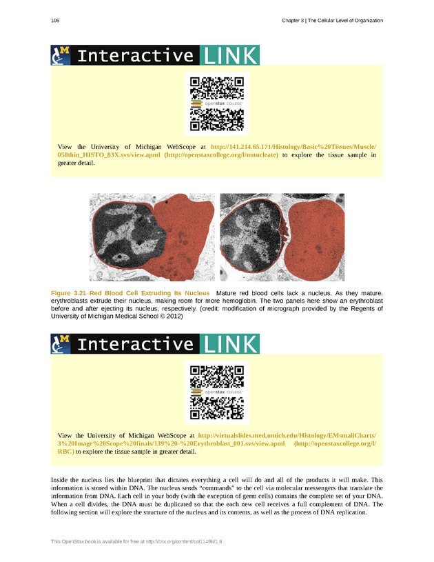 Anatomy & Physiology - Front Matter 115