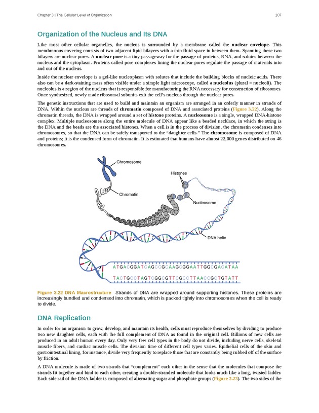 Anatomy & Physiology - Front Matter 116
