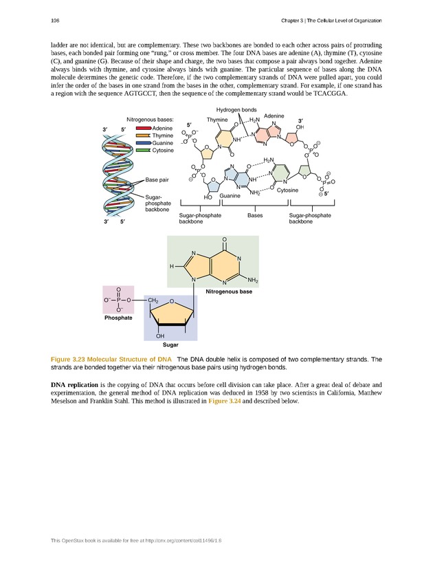 Anatomy & Physiology - Front Matter 117