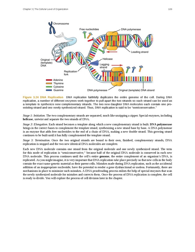 Anatomy & Physiology - Front Matter 118