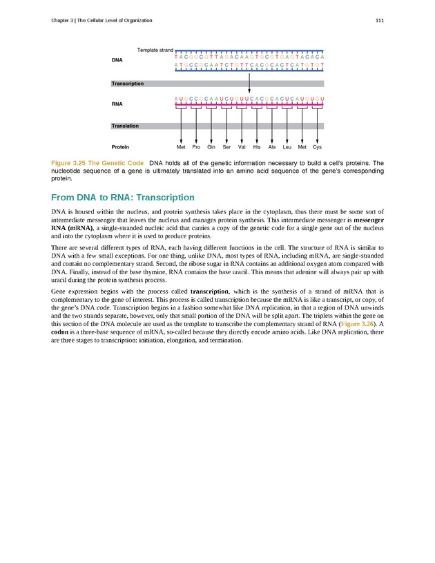 Anatomy & Physiology - Front Matter 120
