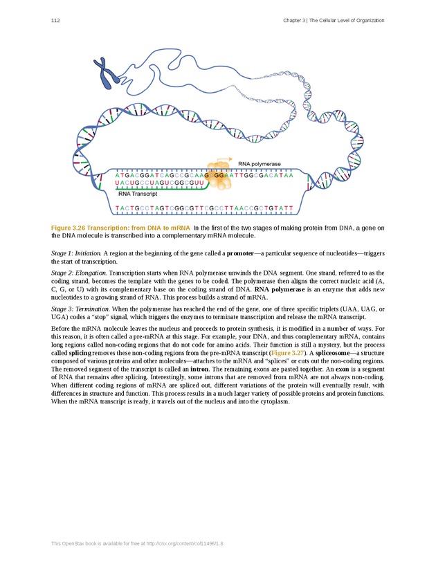 Anatomy & Physiology - Front Matter 121