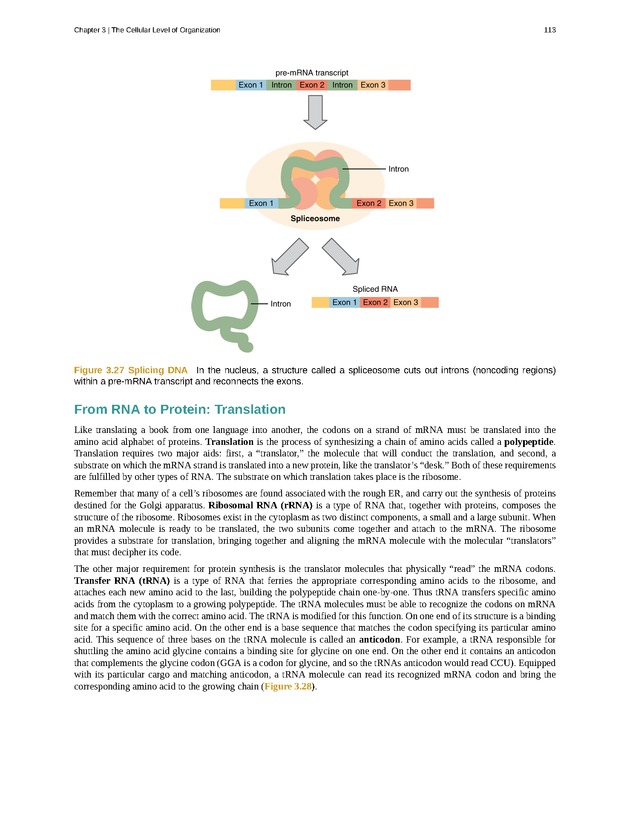 Anatomy & Physiology - Front Matter 122