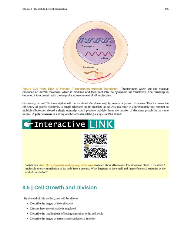 Anatomy & Physiology - Front Matter 124