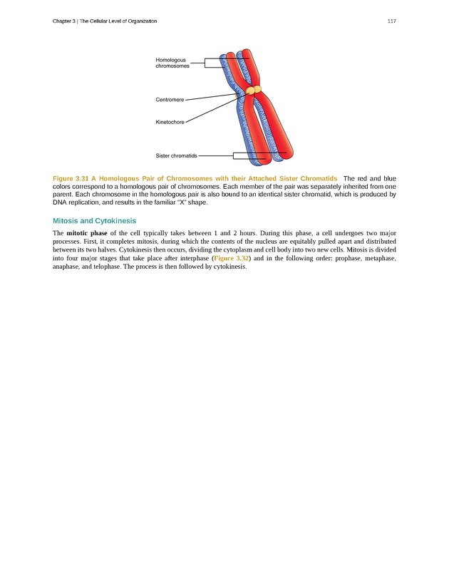 Anatomy & Physiology - Front Matter 126