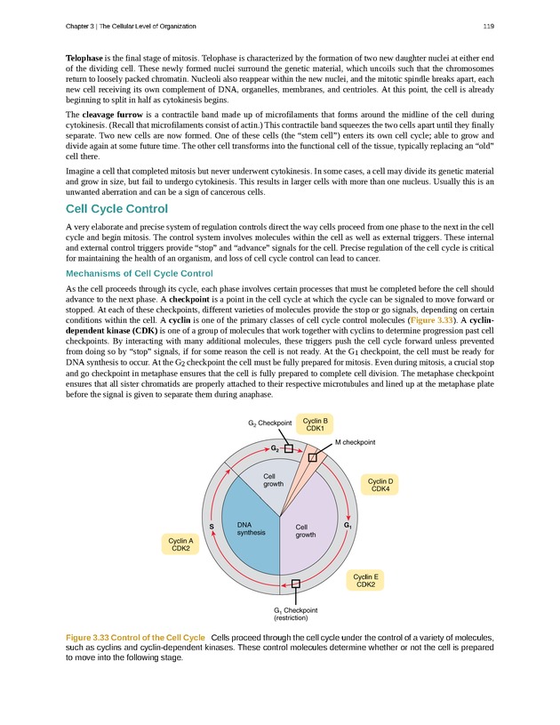 Anatomy & Physiology - Front Matter 128