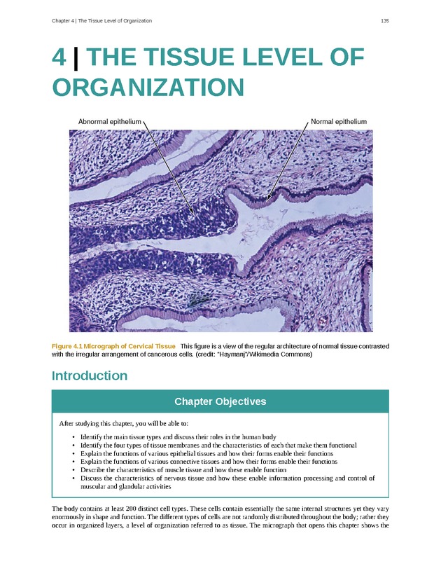 Anatomy & Physiology - Front Matter 144