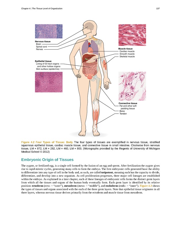 Anatomy & Physiology - Front Matter 146