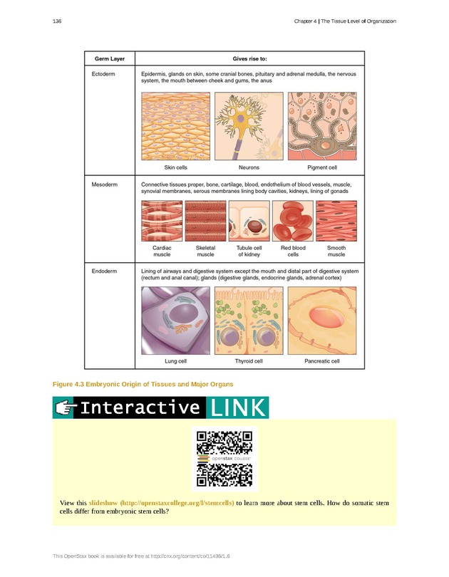 Anatomy & Physiology - Front Matter 147
