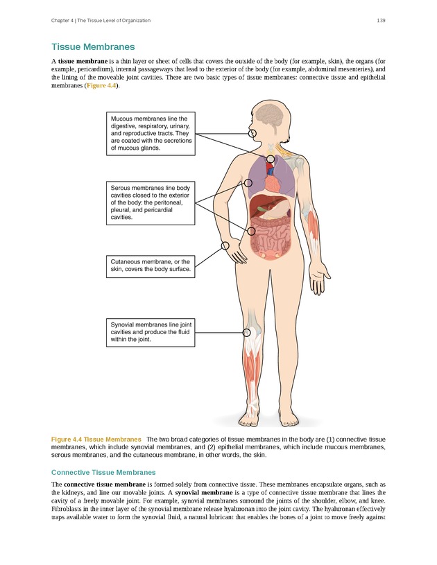 Anatomy & Physiology - Front Matter 148