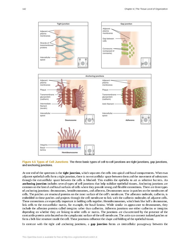 Anatomy & Physiology - Front Matter 151