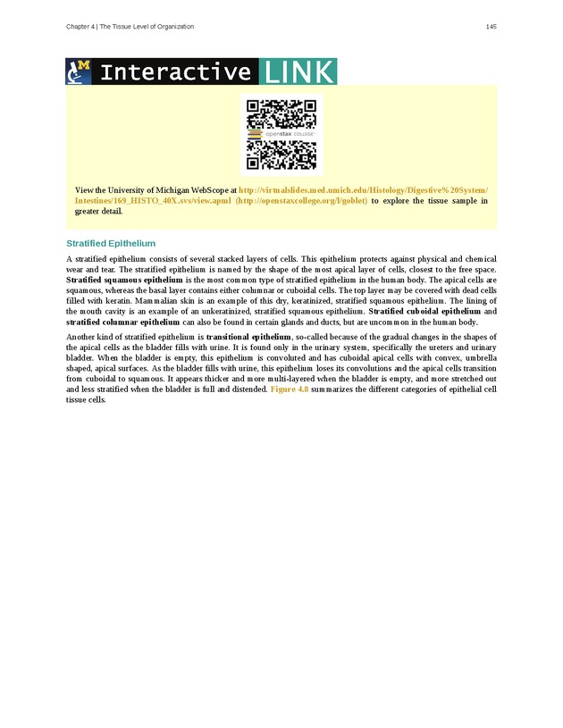 Anatomy & Physiology - Front Matter 154