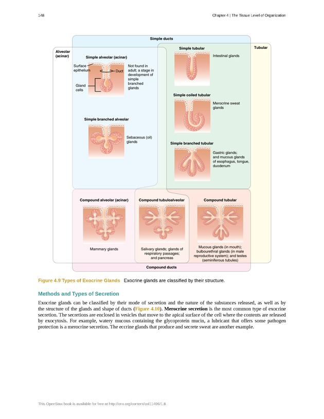 Anatomy & Physiology - Front Matter 157