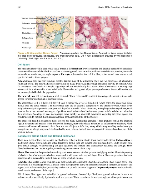 Anatomy & Physiology - Front Matter 161
