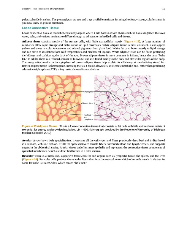 Anatomy & Physiology - Front Matter 162
