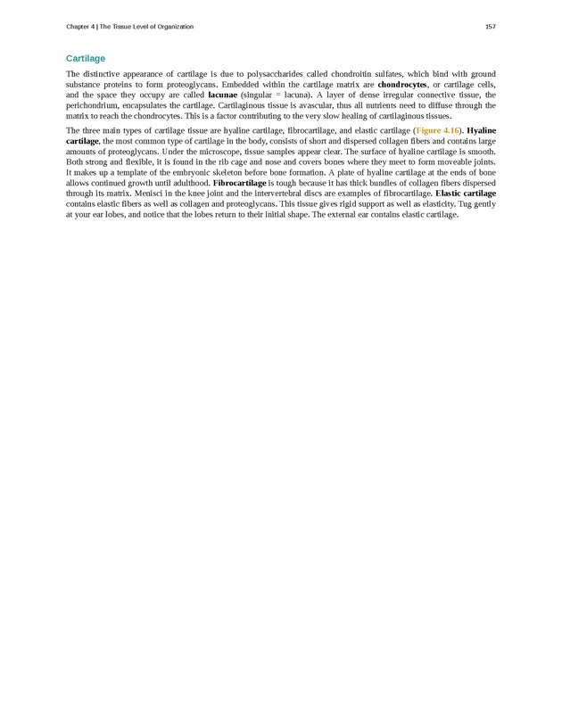 Anatomy & Physiology - Front Matter 166