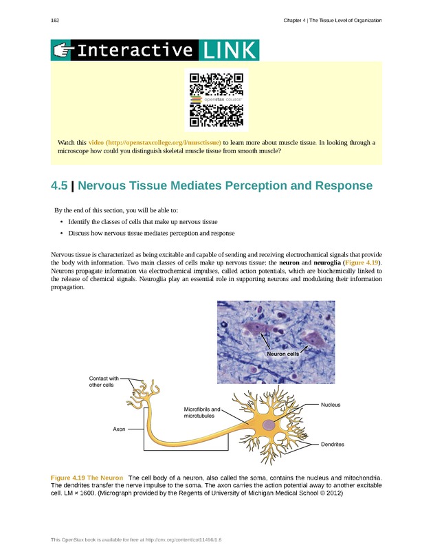 Anatomy & Physiology - Front Matter 171