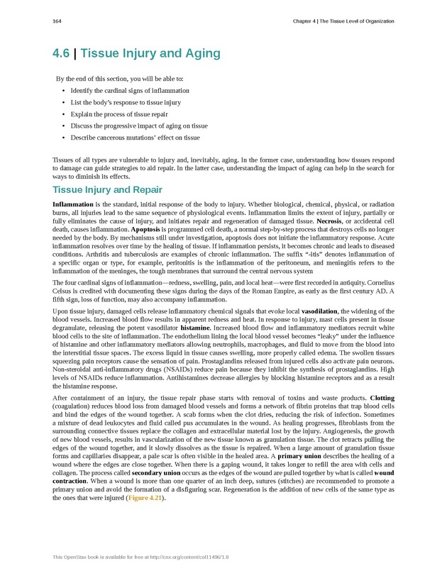 Anatomy & Physiology - Front Matter 173