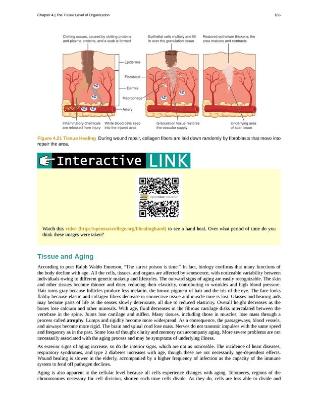 Anatomy & Physiology - Front Matter 174