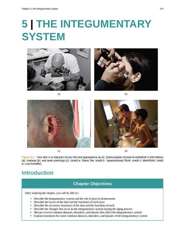 Anatomy & Physiology - Front Matter 188