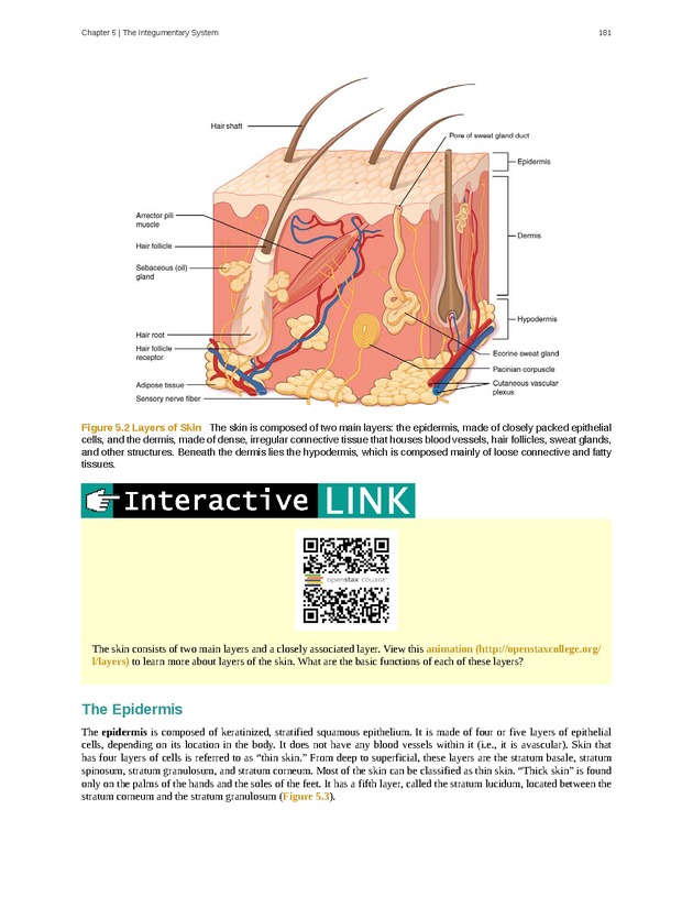 Anatomy & Physiology - Front Matter 190
